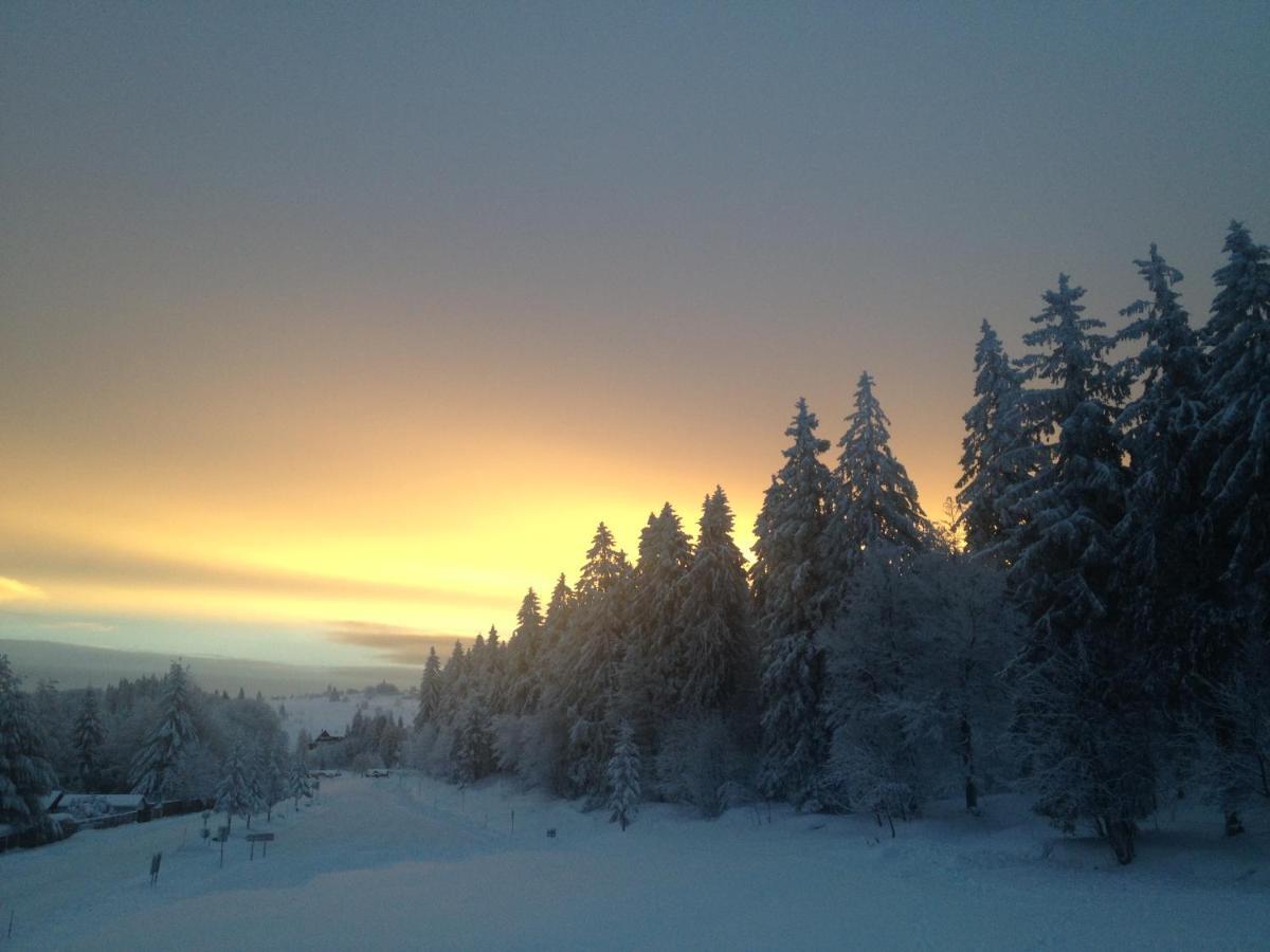 Les Gites De La Serva - Champ Du Feu - Montagnes- Vosges Belmont  Exteriör bild