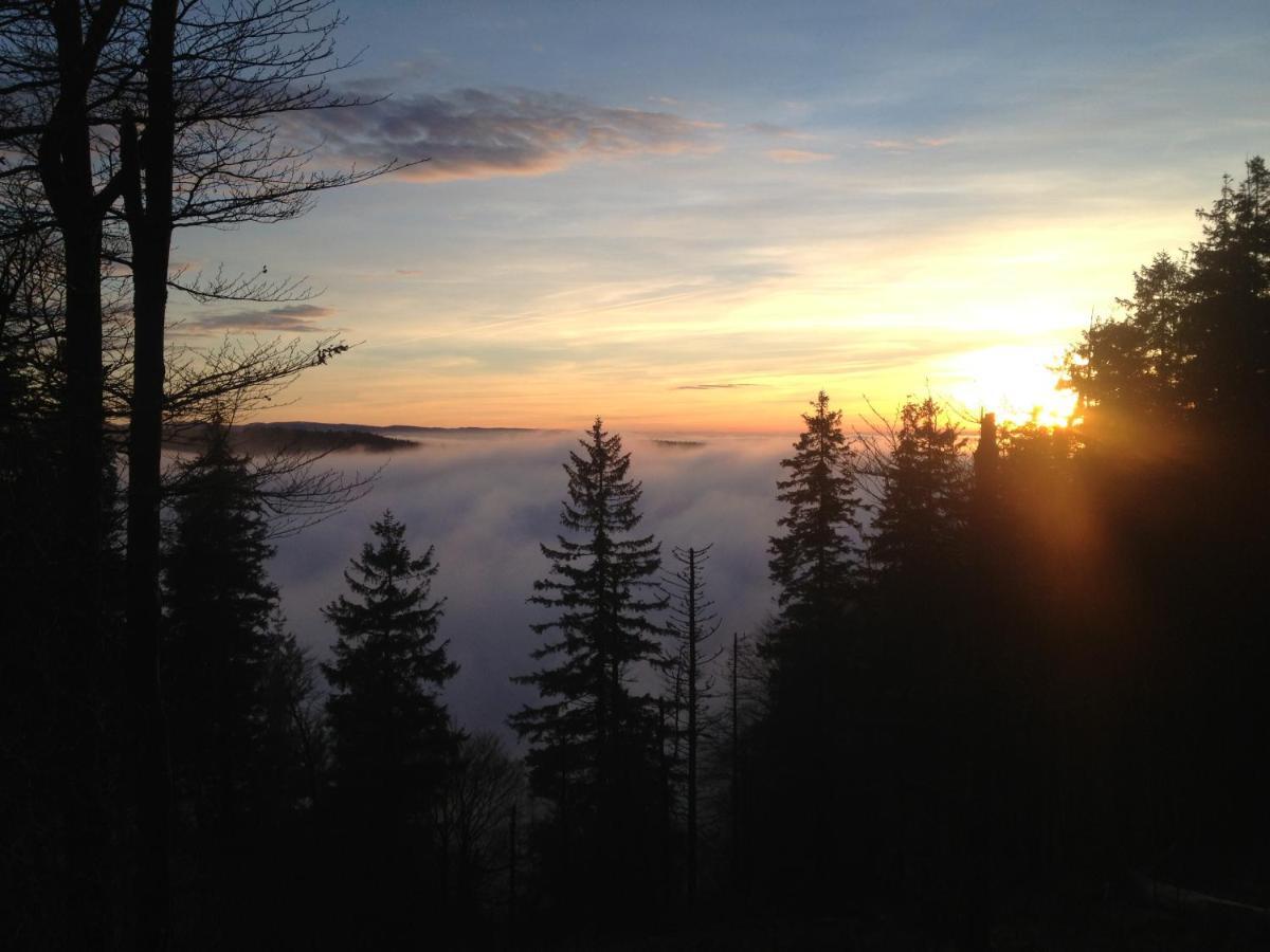 Les Gites De La Serva - Champ Du Feu - Montagnes- Vosges Belmont  Exteriör bild